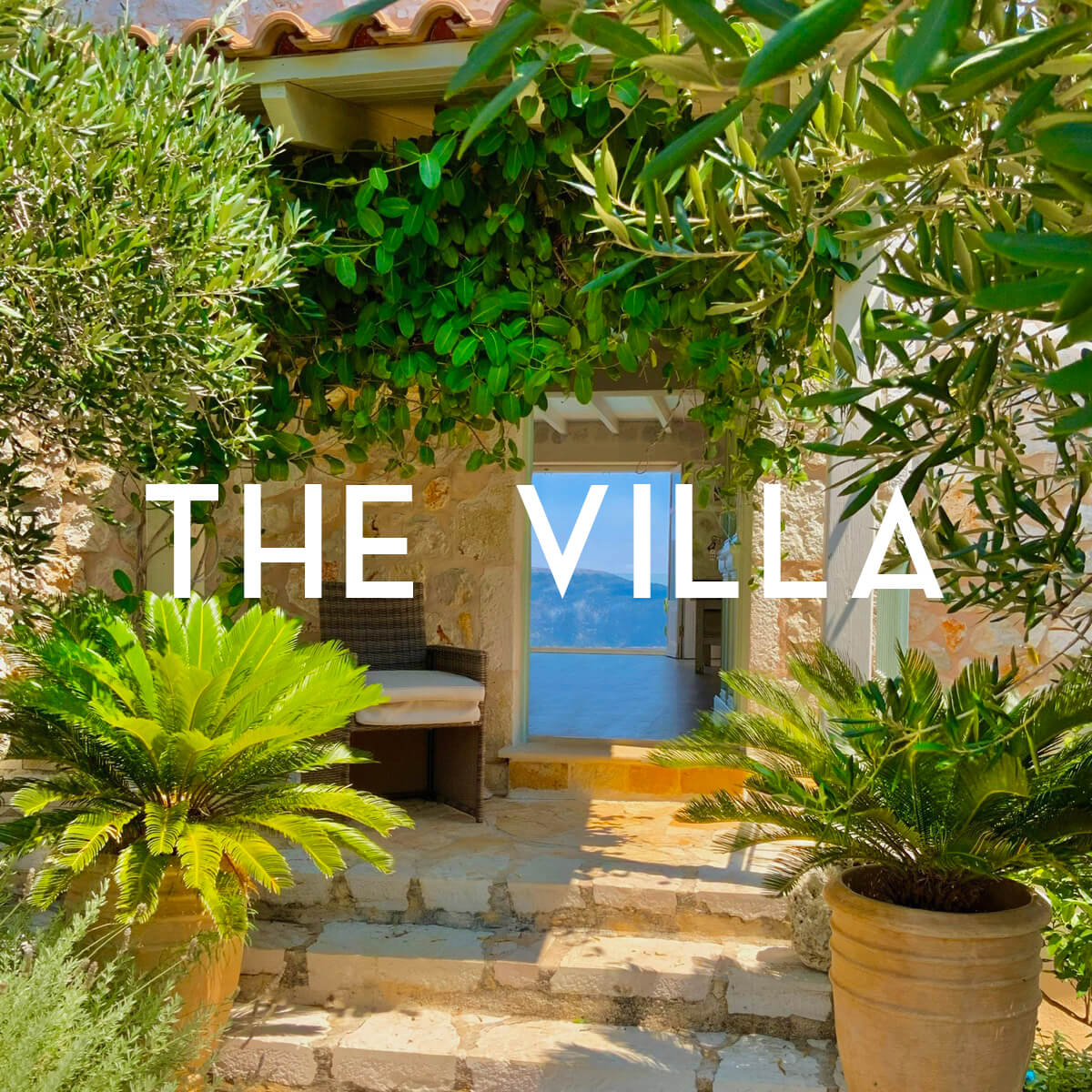 THE VILLA
